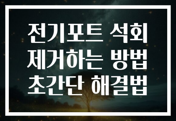 전기포트 석회 제거하는 방법 초간단 해결법