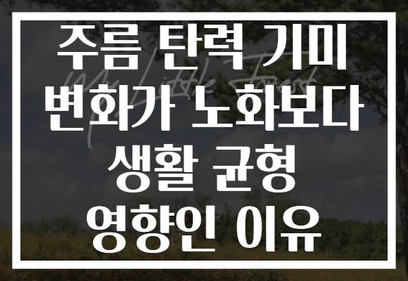 주름 탄력 기미 변화가 노화보다 생활 균형 영향인 이유