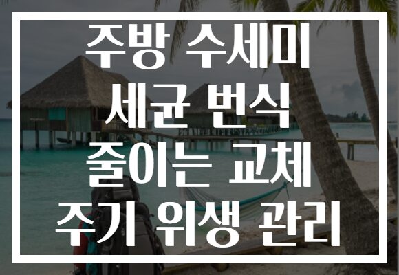 주방 수세미 세균 번식 줄이는 교체 주기 위생 관리