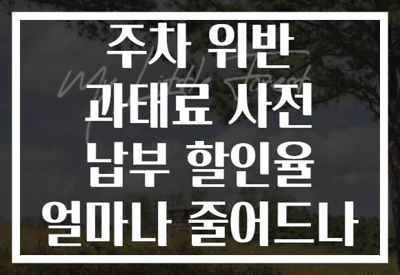 주차 위반 과태료 사전 납부 할인율 얼마나 줄어드나