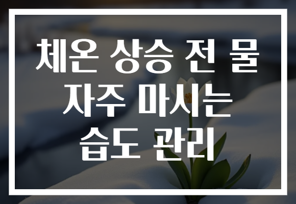 체온 상승 전 물 자주 마시는 습도 관리
