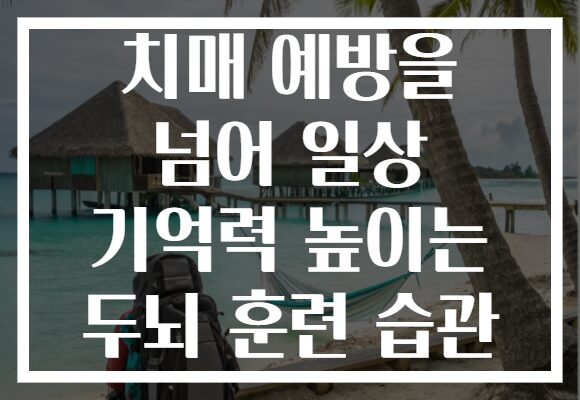 치매 예방을 넘어 일상 기억력 높이는 두뇌 훈련 습관