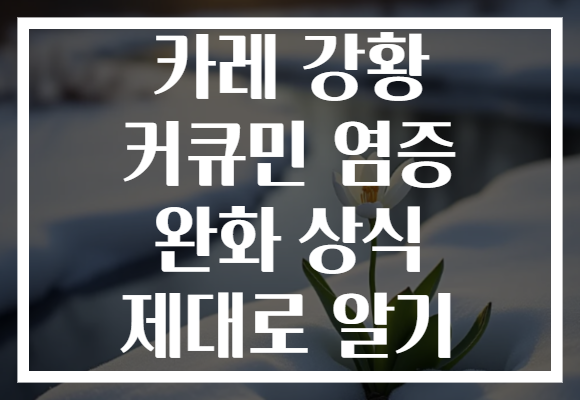 카레 강황 커큐민 염증 완화 상식 제대로 알기