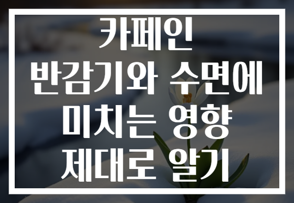 카페인 반감기와 수면에 미치는 영향 제대로 알기