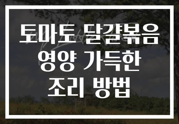 토마토 달걀볶음 영양 가득한 조리 방법