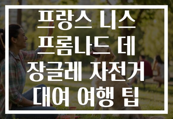 프랑스 니스 프롬나드 데 장글레 자전거 대여 여행 팁