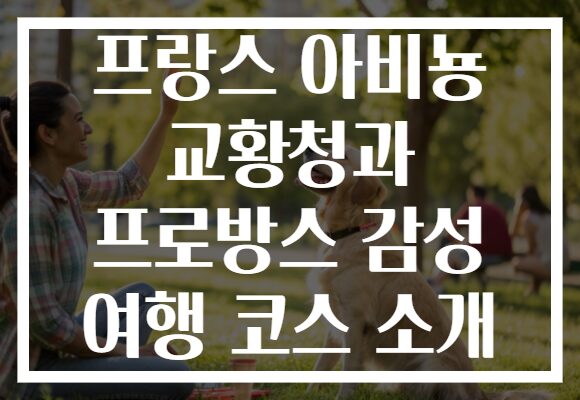 프랑스 아비뇽 교황청과 프로방스 감성 여행 코스 소개