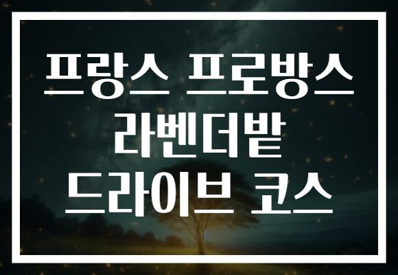 프랑스 프로방스 라벤더밭 드라이브 코스