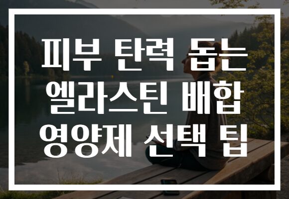 피부 탄력 돕는 엘라스틴 배합 영양제 선택 팁