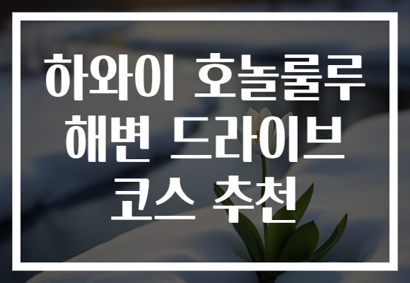 하와이 호놀룰루 해변 드라이브 코스 추천