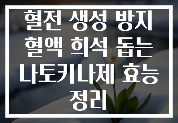 혈전 생성 방지 혈액 희석 돕는 나토키나제 효능 정리