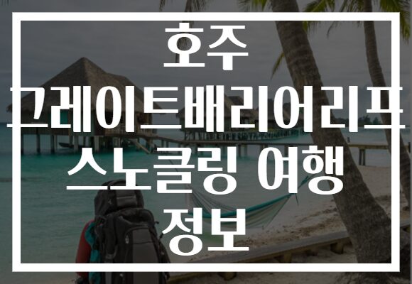 호주 그레이트배리어리프 스노클링 여행 정보