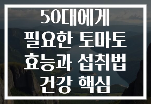 50대에게 필요한 토마토 효능과 섭취법 건강 핵심