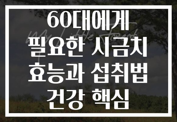 60대에게 필요한 시금치 효능과 섭취법 건강 핵심
