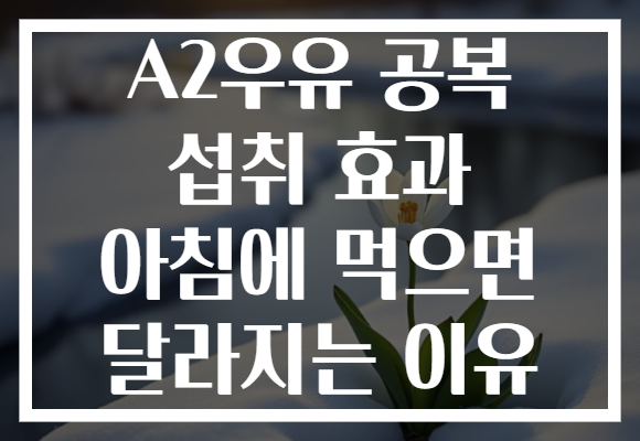 A2우유 공복 섭취 효과 아침에 먹으면 달라지는 이유