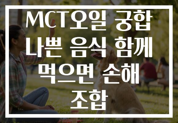 MCT오일 궁합 나쁜 음식 함께 먹으면 손해 조합