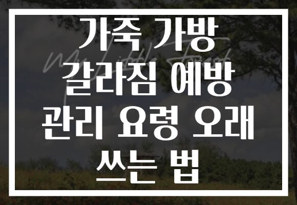 가죽 가방 갈라짐 예방 관리 요령 오래 쓰는 법