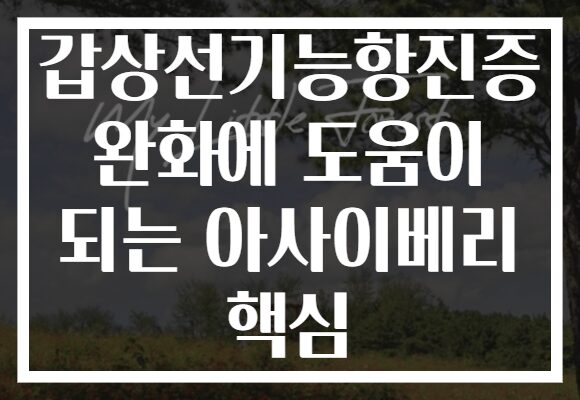 갑상선기능항진증 완화에 도움이 되는 아사이베리 핵심