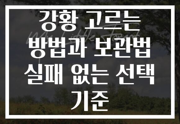 강황 고르는 방법과 보관법 실패 없는 선택 기준