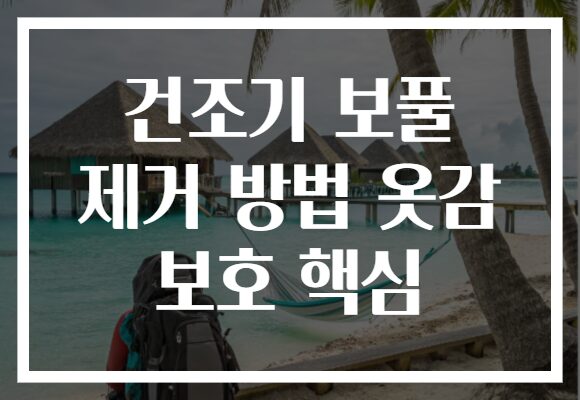 건조기 보풀 제거 방법 옷감 보호 핵심