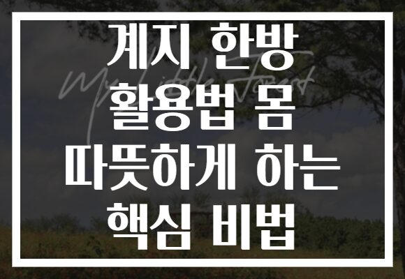 계지 한방 활용법 몸 따뜻하게 하는 핵심 비법