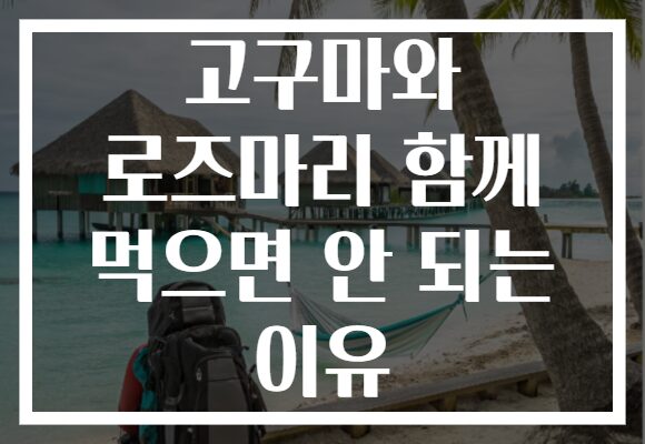 고구마와 로즈마리 함께 먹으면 안 되는 이유