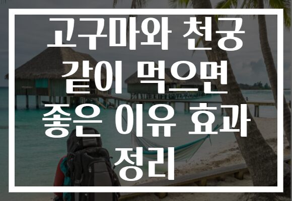 고구마와 천궁 같이 먹으면 좋은 이유 효과 정리