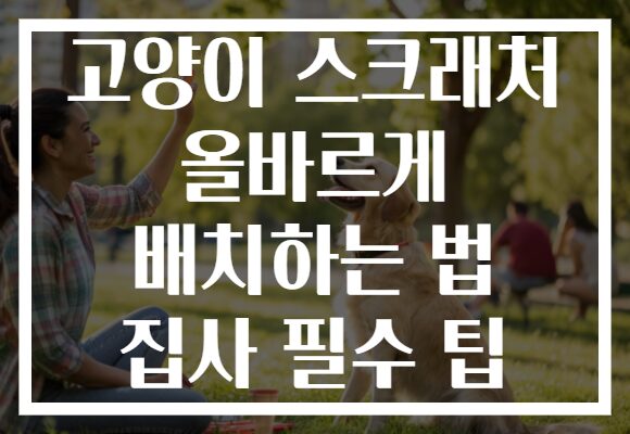 고양이 스크래처 올바르게 배치하는 법 집사 필수 팁