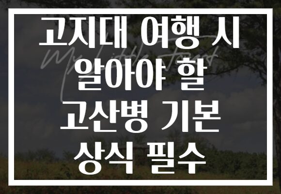 고지대 여행 시 알아야 할 고산병 기본 상식 필수
