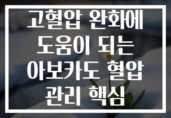 고혈압 완화에 도움이 되는 아보카도 혈압 관리 핵심