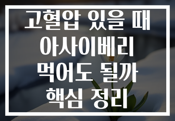 고혈압 있을 때 아사이베리 먹어도 될까 핵심 정리