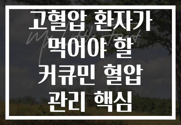 고혈압 환자가 먹어야 할 커큐민 혈압 관리 핵심