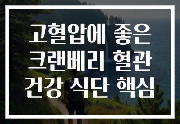 고혈압에 좋은 크랜베리 혈관 건강 식단 핵심