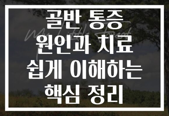 골반 통증 원인과 치료 쉽게 이해하는 핵심 정리