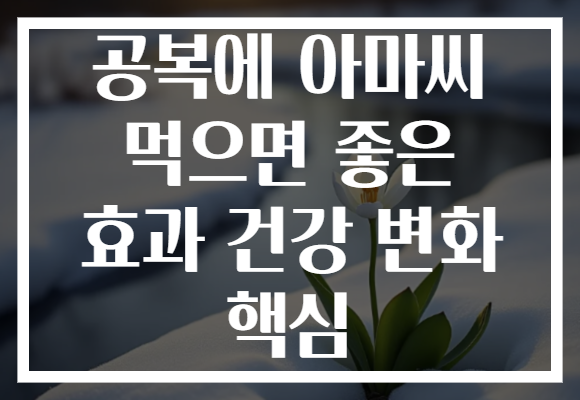 공복에 아마씨 먹으면 좋은 효과 건강 변화 핵심