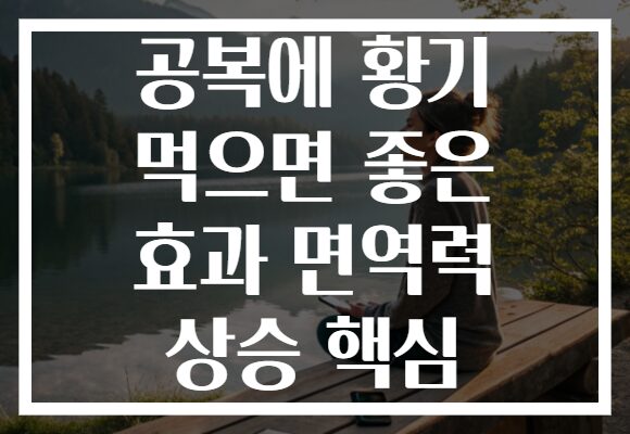 공복에 황기 먹으면 좋은 효과 면역력 상승 핵심