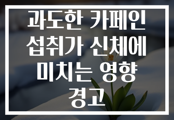 과도한 카페인 섭취가 신체에 미치는 영향 경고