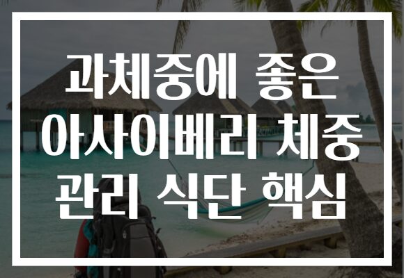 과체중에 좋은 아사이베리 체중 관리 식단 핵심