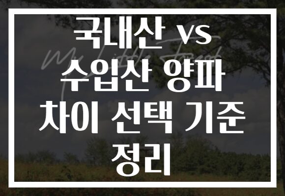 국내산 vs 수입산 양파 차이 선택 기준 정리