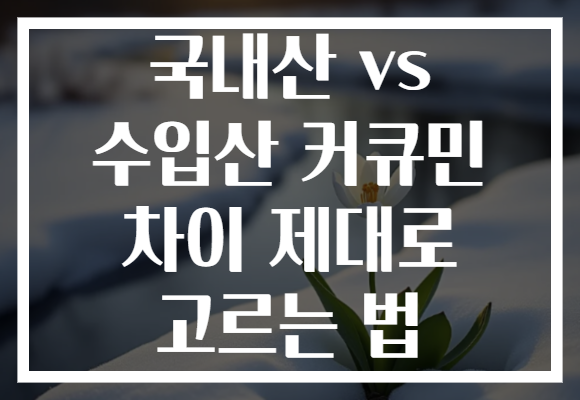 국내산 vs 수입산 커큐민 차이 제대로 고르는 법