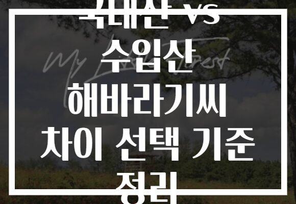 국내산 vs 수입산 해바라기씨 차이 선택 기준 정리
