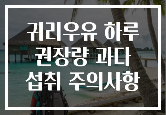 귀리우유 하루 권장량 과다 섭취 주의사항