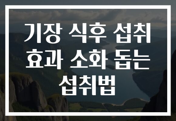 기장 식후 섭취 효과 소화 돕는 섭취법