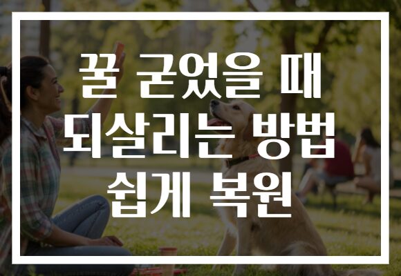 꿀 굳었을 때 되살리는 방법 쉽게 복원