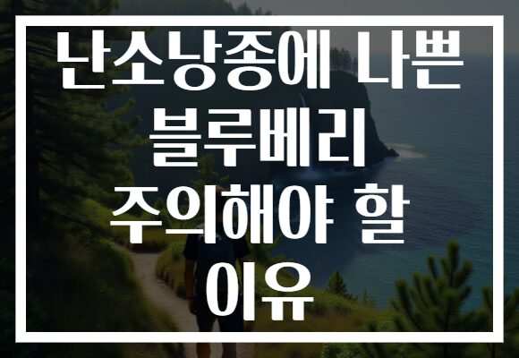 난소낭종에 나쁜 블루베리 주의해야 할 이유