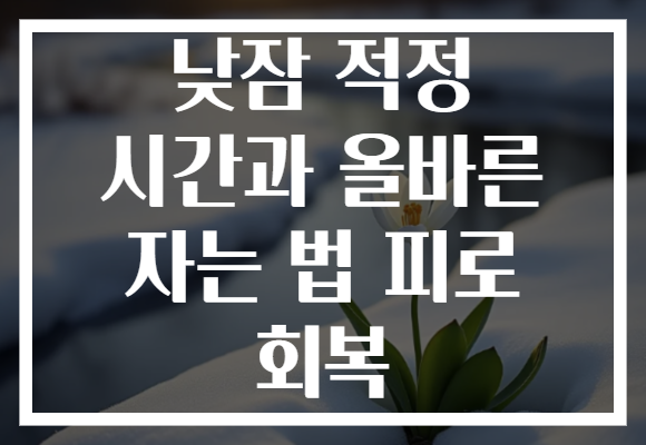 낮잠 적정 시간과 올바른 자는 법 피로 회복