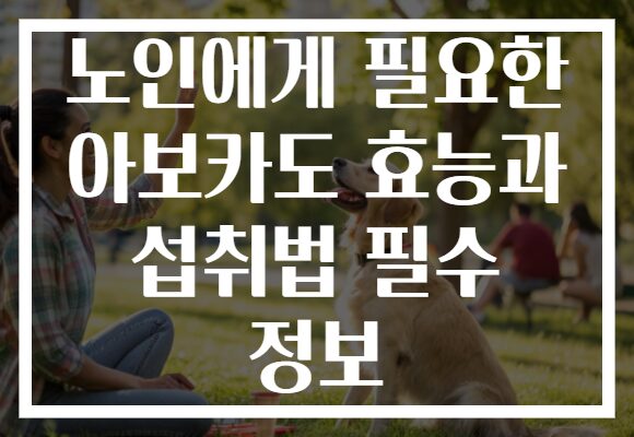 노인에게 필요한 아보카도 효능과 섭취법 필수 정보