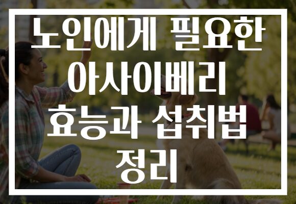 노인에게 필요한 아사이베리 효능과 섭취법 정리