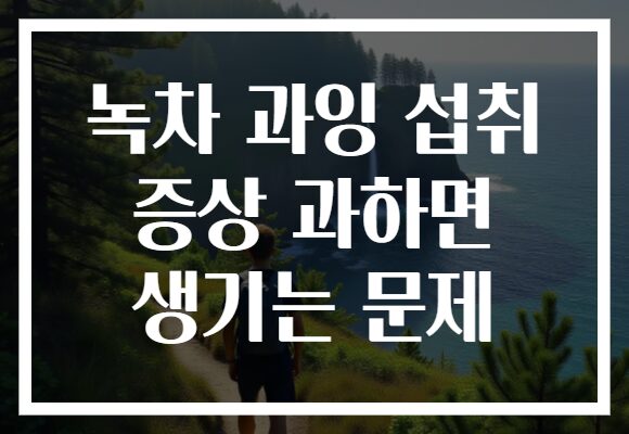 녹차 과잉 섭취 증상 과하면 생기는 문제