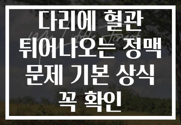 다리에 혈관 튀어나오는 정맥 문제 기본 상식 꼭 확인